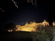 Top Carcassonne