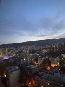 Comfortable Apartment In Tbilisi