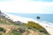 Top Almonte