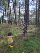 Top Vielle-Saint-Girons