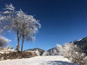 Top Ziano di Fiemme Top Ziano di Fiemme