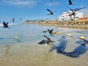 Top San Clemente