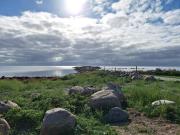 Top Rødvig Top Rødvig