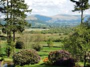 Top Braithwaite
