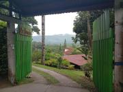 Eco Hotel Green Eden