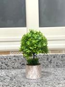 Luxury &cosy apartment in Madinaty