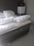 The Good Samaritan 1