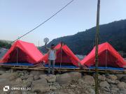 Top Dawki
