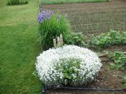 Top Kneževi Vinogradi