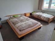 DOMOTEX Apartment Hannover-Laatzen, 500m zur Messe