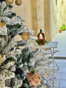 Top San Cesario di Lecce