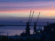 Top Gdynia Top Gdynia