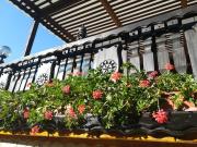 Cabana Turistica ,,Baile Oglinzi