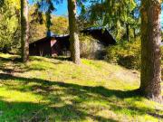 Waldhütte mit Weitblick