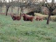 séjour détente à la campagne