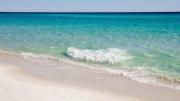 Top Destin