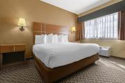 Best Western Plus Shamrock Inn & Suites