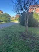 Top Cavallino-Treporti Top Cavallino-Treporti