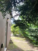 Cabañas Cruz del Sur