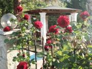 Top Ágios Prokópios Top Ágios Prokópios