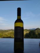 Bellevue relax Apartment Bellevue relax Apartment