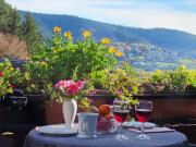 Schwarzwald-Ferienwohnungen Begert