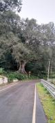 Top Kotagiri