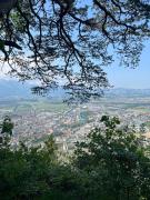 Top Thun