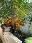 Scenic Apartment Weligama