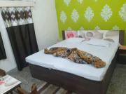 International Guest House