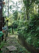 Top Jatiluwih Top Jatiluwih