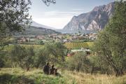 Top Riva del Garda