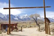 Top Lone Pine