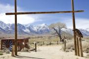 Top Lone Pine