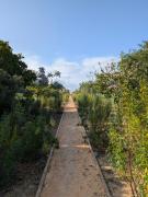 Top Tavira Top Tavira