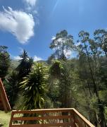 Top Nova Friburgo