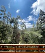 Top Nova Friburgo