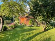 Top Nowosielce Kozickie Top Nowosielce Kozickie