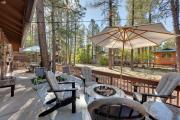 Top Indian Pine