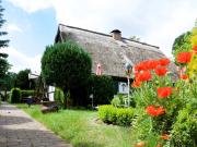 Top Ahlbeck