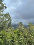 Ella Morning Sunshine