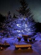 Top Witów Top Witów