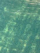 Top Auroville Top Auroville