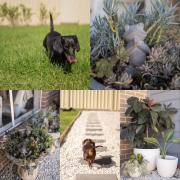 Casa de Soleil New Modern Home Central Location