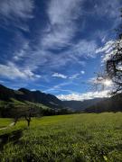 Top Reith im Alpbachtal