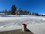 Chalet rénové, charme montagnard et confort moderne