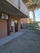 Top Arezzo Top Arezzo