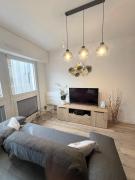 Magnifique logement hyper centre Mulhouse Lambert