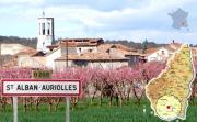Top Saint Alban Auriolles