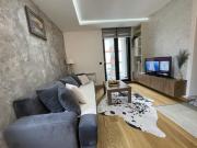 Silver Fox 34 Silver Fox 34